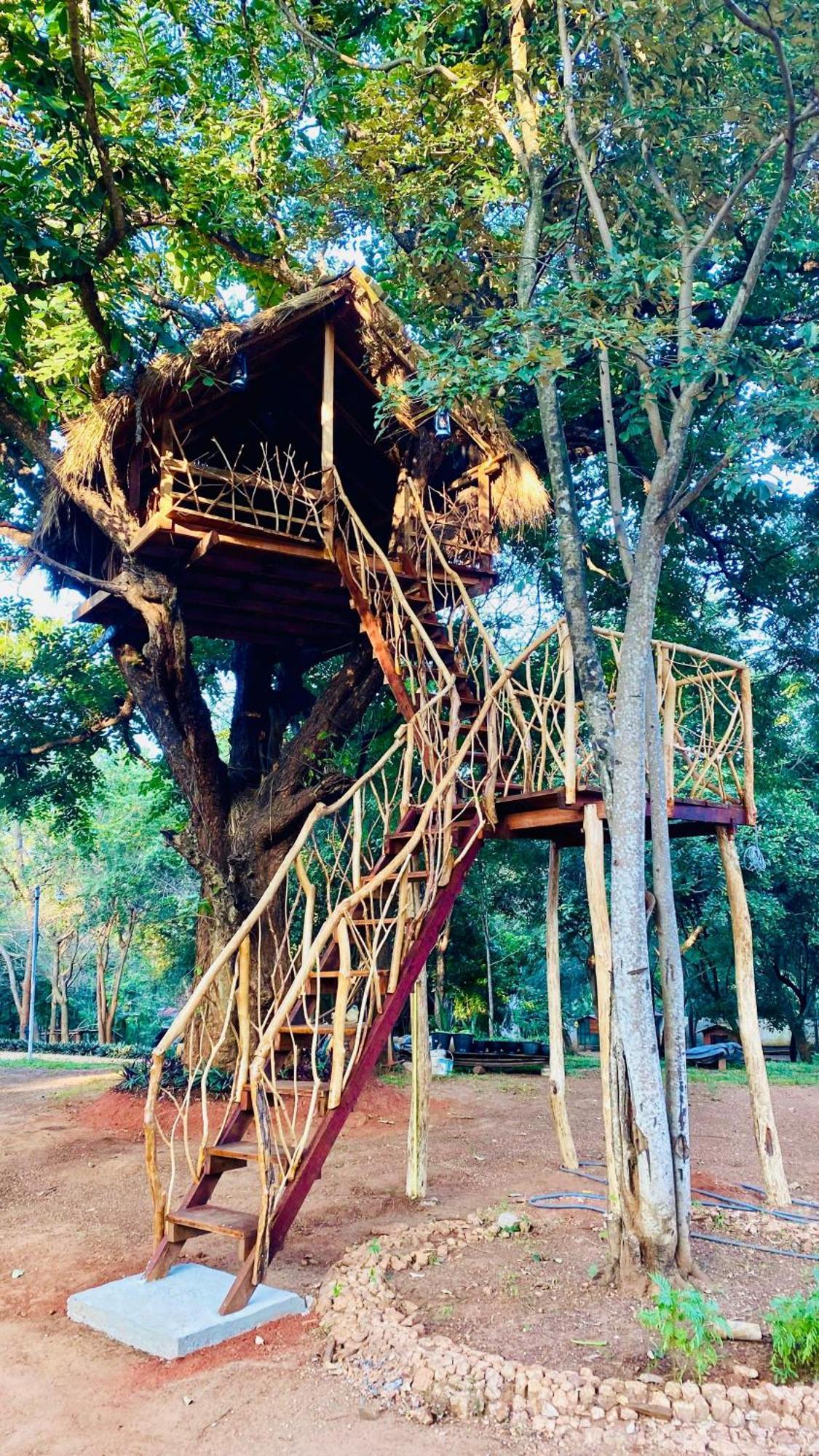 Ima Villa Sigiriya Esterno foto